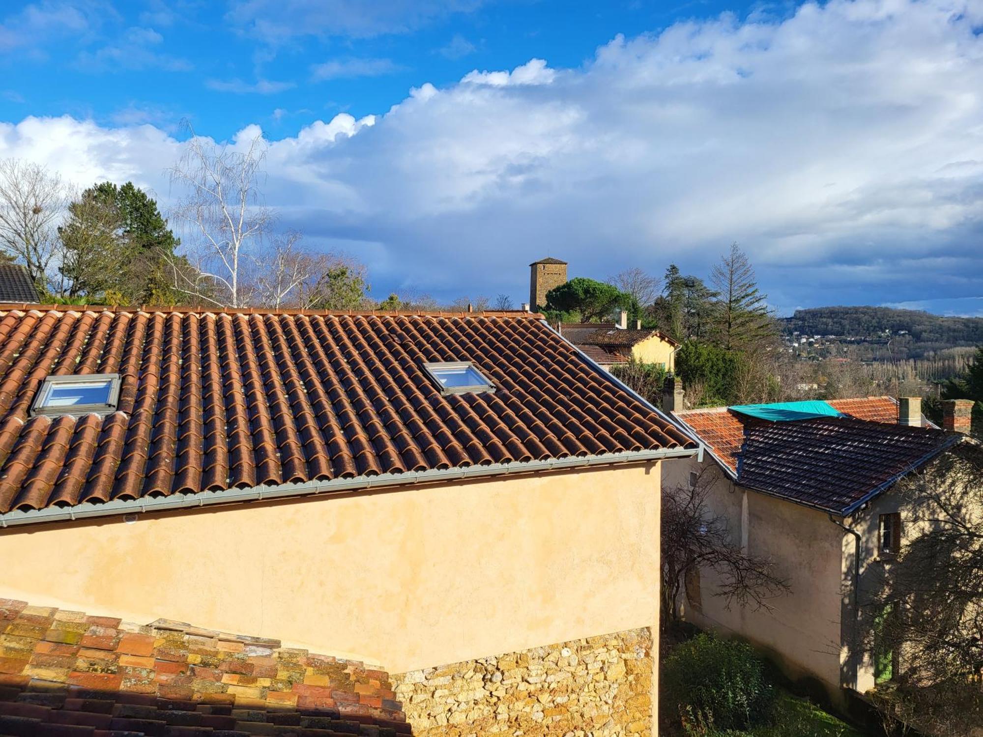 Gite Le Grenier Des Maraichers Albigny-sur-Saone Εξωτερικό φωτογραφία